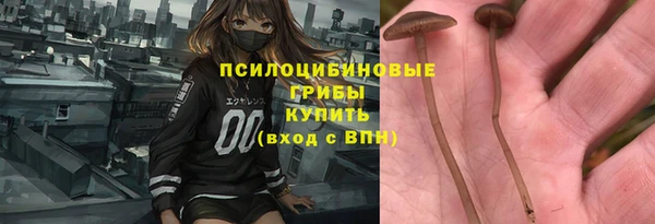 дживик Иннополис
