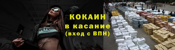 ПСИЛОЦИБИНОВЫЕ ГРИБЫ Инта