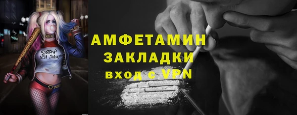 ПСИЛОЦИБИНОВЫЕ ГРИБЫ Инта