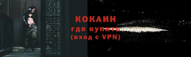 дживик Иннополис
