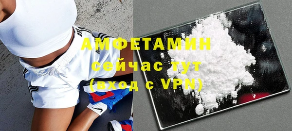 ПСИЛОЦИБИНОВЫЕ ГРИБЫ Инта