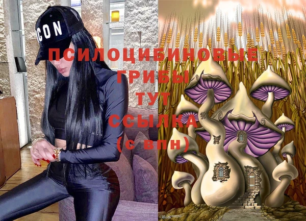 a pvp Инсар