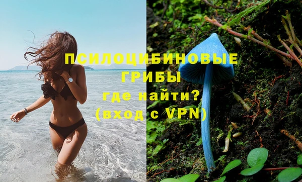 дживик Иннополис