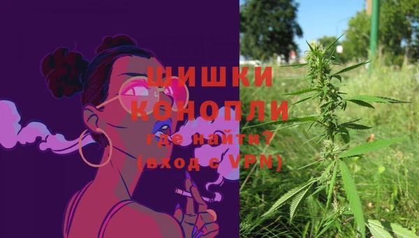 ПСИЛОЦИБИНОВЫЕ ГРИБЫ Инта