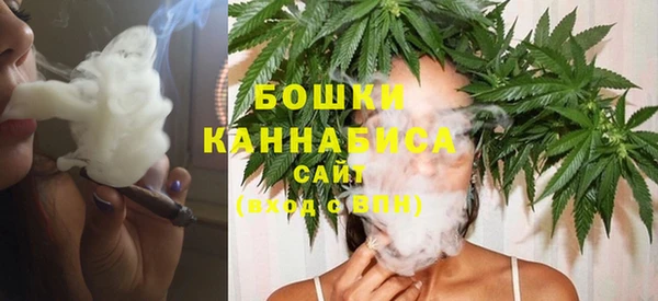 a pvp Инсар