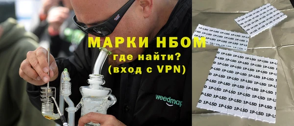 ПСИЛОЦИБИНОВЫЕ ГРИБЫ Инта